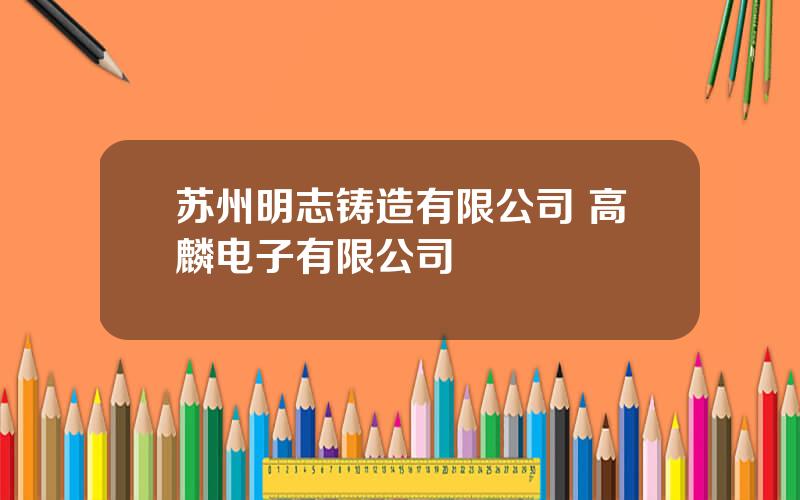 苏州明志铸造有限公司 高麟电子有限公司